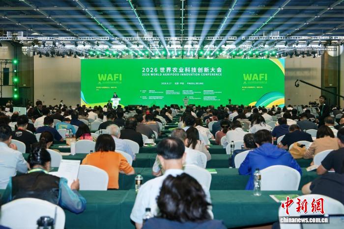 哈哈体育2围绕哈哈体育不断创新，回应用户的真实需求。 - 哈哈体育2